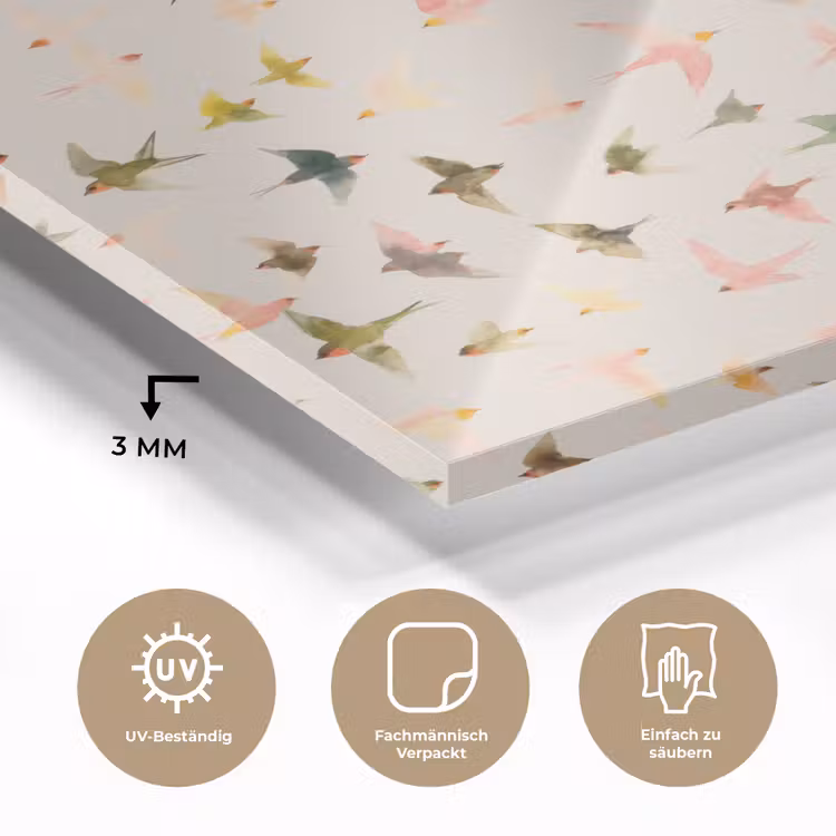 Vogels - Vliegen - Kleurrijk plexiglas 5mm klein 11 -wsfeer2_DE