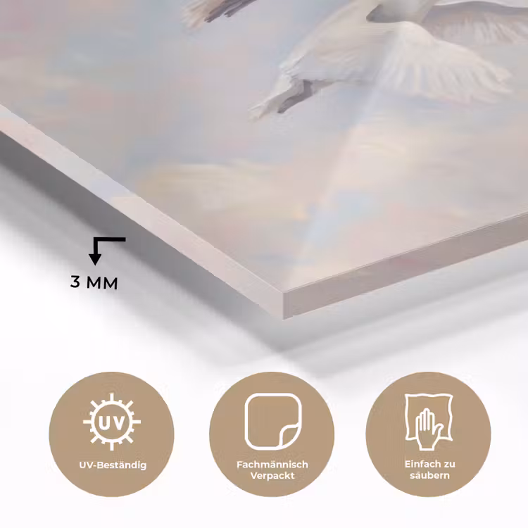 Vogel - Vliegend - Lucht - Modern - Pastel plexiglas 5mm klein -wsfeer2_DE