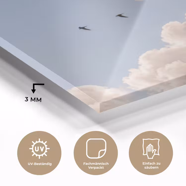 Vogel - Vlucht - Wolken - Natuur - Blauw plexiglas 5mm klein -wsfeer2_DE