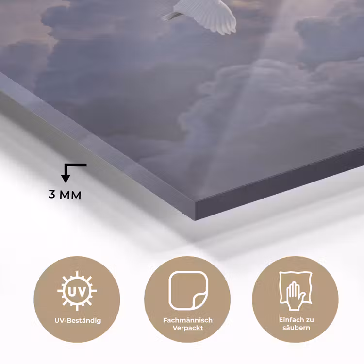 Vogel - Vliegend - Natuur - Wit - Wolken plexiglas 5mm klein -wsfeer2_DE