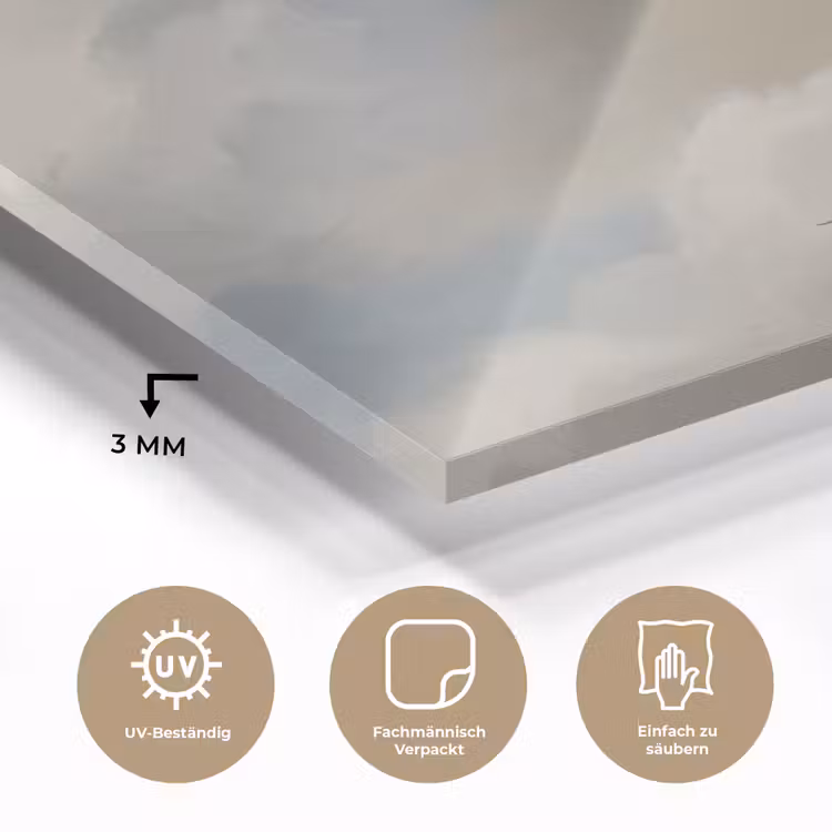 Vogel - Wolken - Natuur - Modern - Grijs plexiglas 5mm klein -wsfeer2_DE