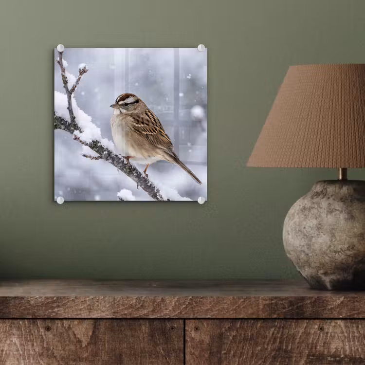 Vogel - Tak - Sneeuw - Winter plexiglas 5mm klein -sfeer3
