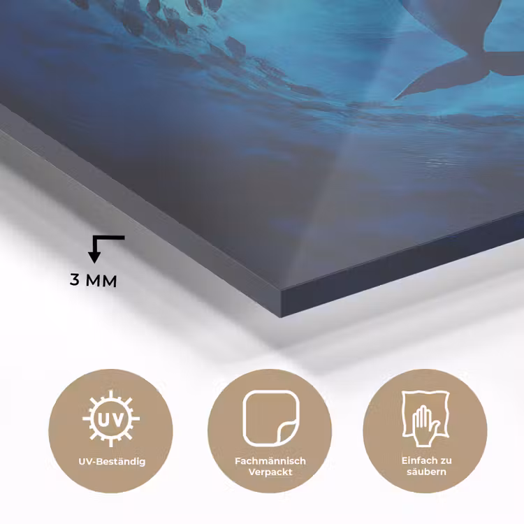 Walvis - Vissen - Donkerblauw plexiglas 5mm klein -wsfeer2_DE