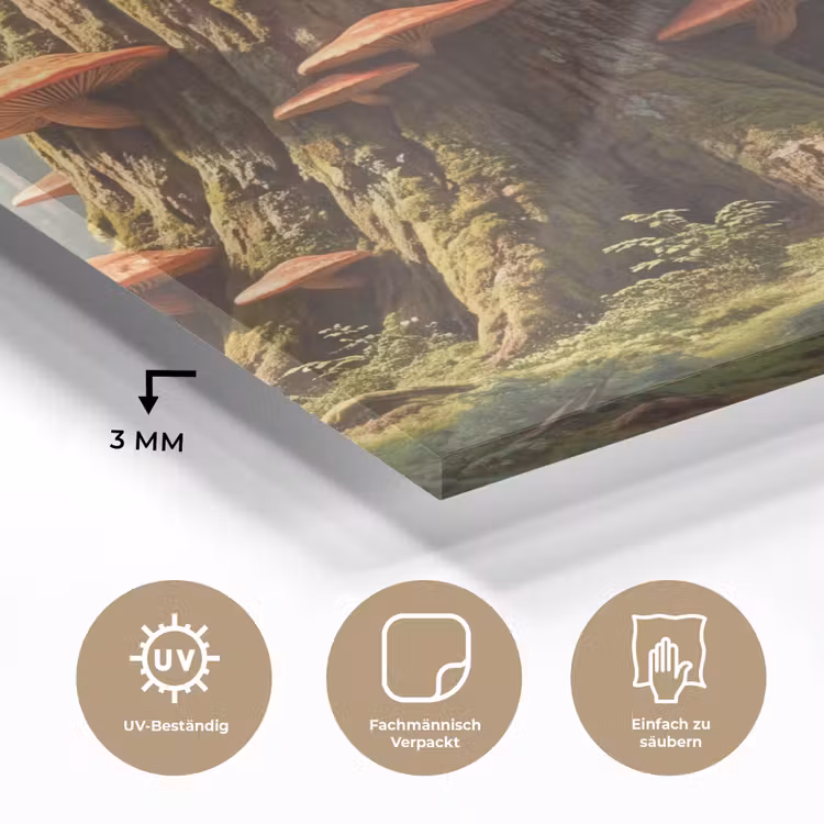 Glasbild - Wald – Bäume – Natur - Bos - Bomen - Natuur plexiglas 5mm klein