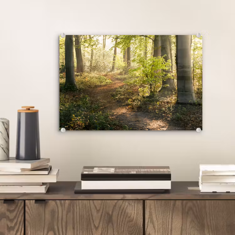 Bos - Bomen - Pad - Zon - Planten - Bladeren - Natuur plexiglas 5mm klein -sfeer1