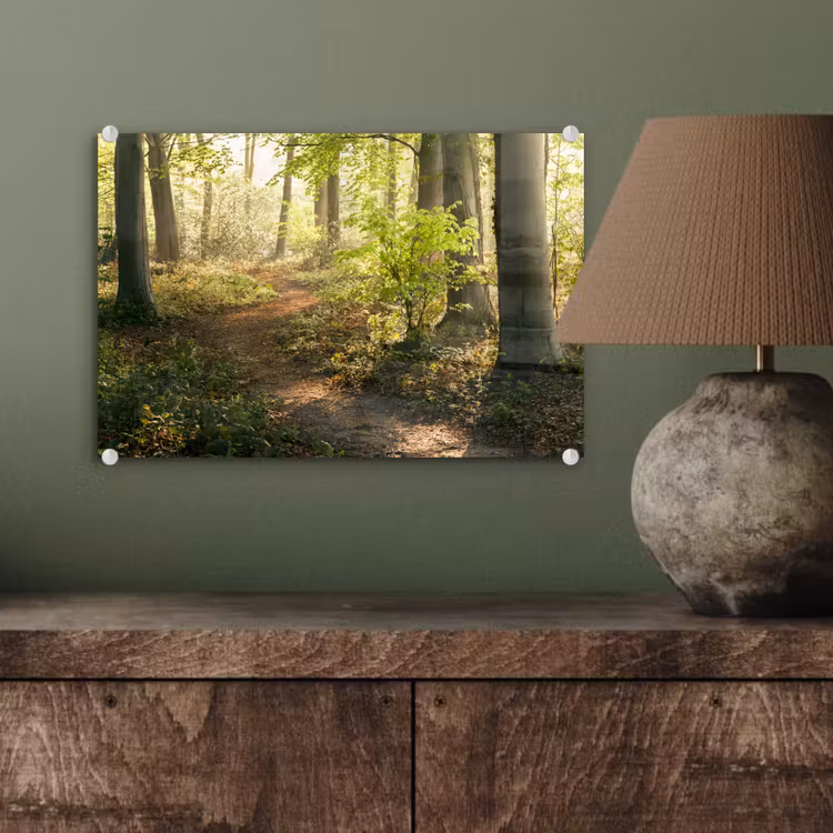 Bos - Bomen - Pad - Zon - Planten - Bladeren - Natuur plexiglas 5mm klein -wsfeer2_DE