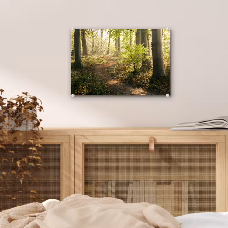 Bos - Bomen - Pad - Zon - Planten - Bladeren - Natuur plexiglas 5mm klein -sfeer3