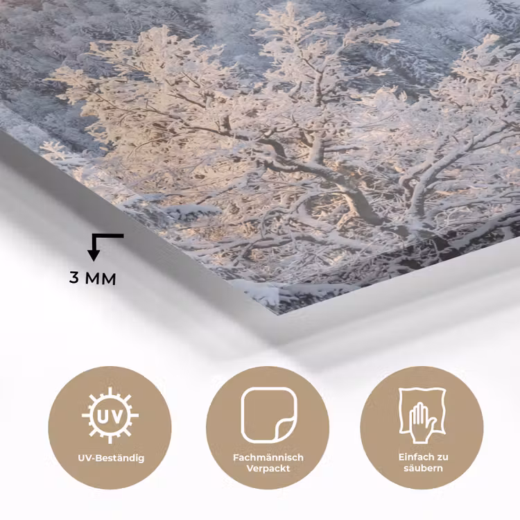 Bos - Bergen - Goud - Winter - Warm plexiglas 5mm klein -wsfeer2_DE