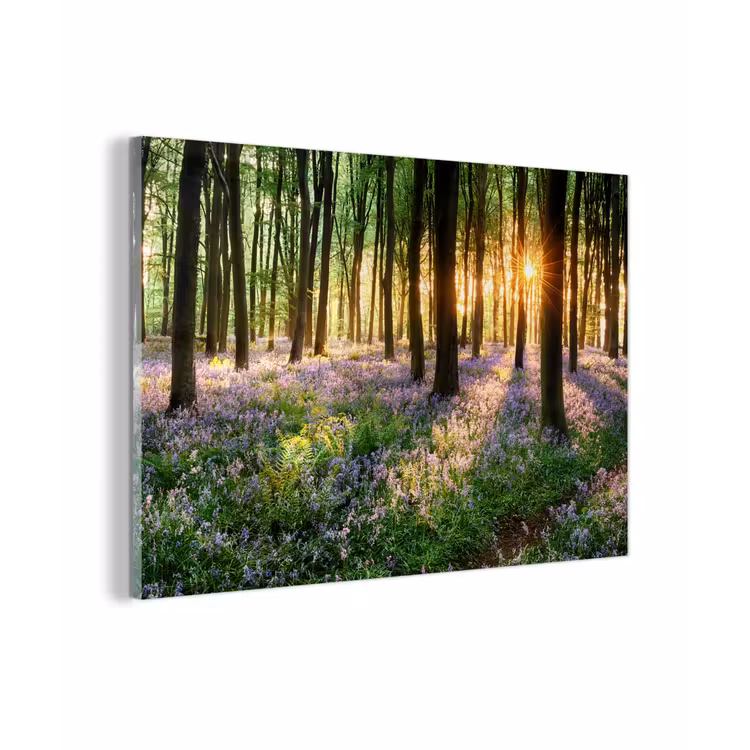 Bos - Bloemen - Lavendel - Zon - Paars - Natuur plexiglas 5mm klein -zzzproduct_nieuw