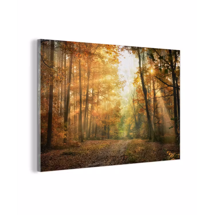 Bos - Herfst - Zon - Landschap - Natuur - Bomen - Bladeren plexiglas 5mm klein -zzzproduct_nieuw