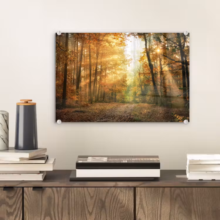 Bos - Herfst - Zon - Landschap - Natuur - Bomen - Bladeren plexiglas 5mm klein -sfeer1