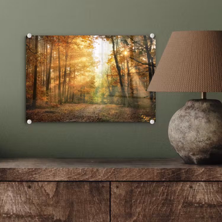 Bos - Herfst - Zon - Landschap - Natuur - Bomen - Bladeren plexiglas 5mm klein -wsfeer2_DE
