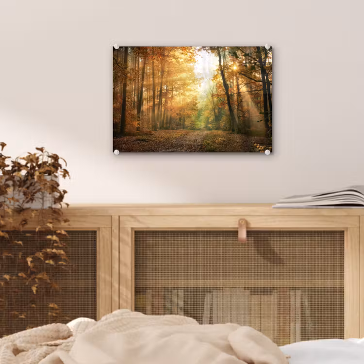 Bos - Herfst - Zon - Landschap - Natuur - Bomen - Bladeren plexiglas 5mm klein -sfeer3