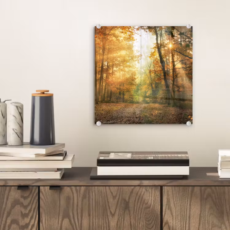 Bos - Herfst - Zon - Landschap - Natuur - Bomen - Bladeren plexiglas 5mm klein -sfeer1