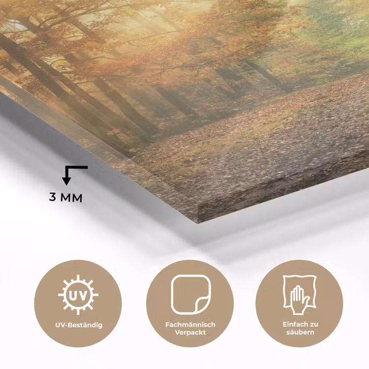 Bos - Herfst - Zon - Landschap - Natuur - Bomen - Bladeren plexiglas 5mm klein -wsfeer2_DE
