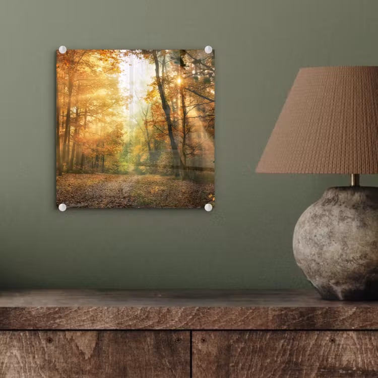 Bos - Herfst - Zon - Landschap - Natuur - Bomen - Bladeren plexiglas 5mm klein -sfeer3