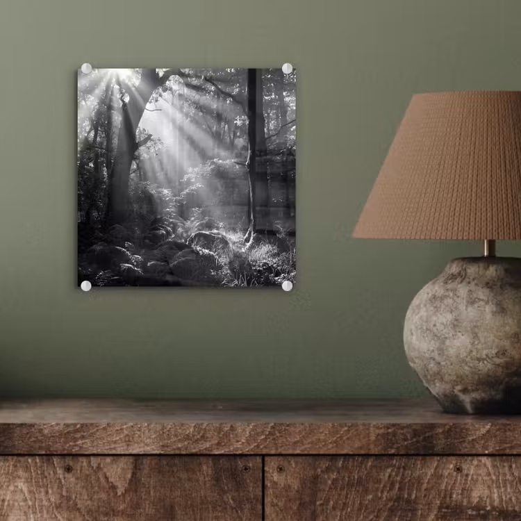 Bos - Lichtstralen - Natuur - Zwart-wit plexiglas 5mm klein -sfeer3