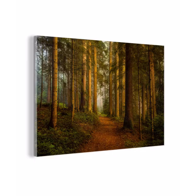 Bos - Natuur - Bomen - Landschap - Bladeren plexiglas 5mm klein -z3d