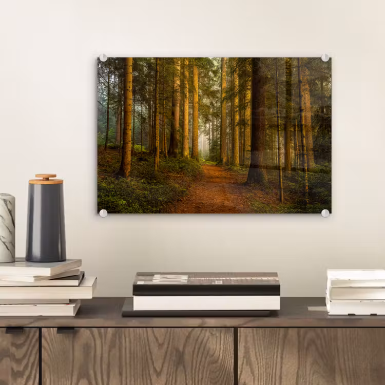 Bos - Natuur - Bomen - Landschap - Bladeren plexiglas 5mm klein -sfeer1