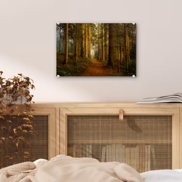 Bos - Natuur - Bomen - Landschap - Bladeren plexiglas 5mm klein -sfeer4