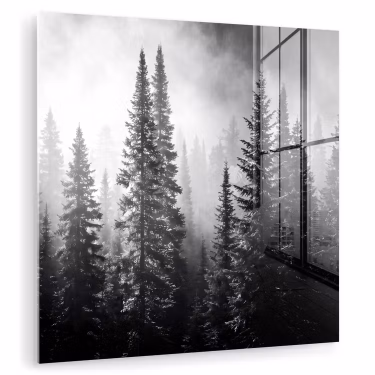 Bos - Mist - Winter - Monochroom - Natuur plexiglas 5mm klein -zzzproduct_nieuw