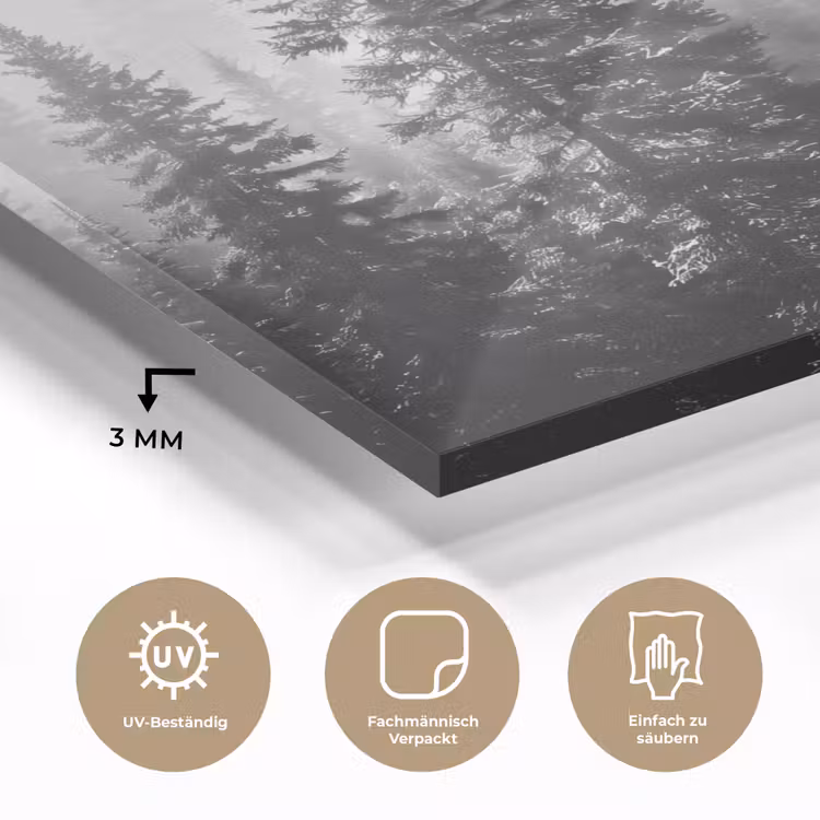 Bos - Mist - Winter - Monochroom - Natuur plexiglas 5mm klein -wsfeer2_DE