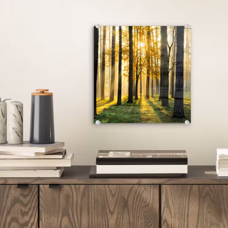 Bos - Zon - Bomen - Gras - Landschap - Natuur plexiglas 5mm klein -sfeer1