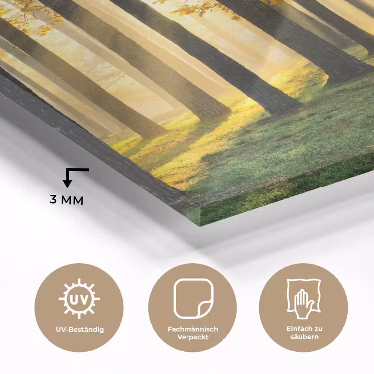 Bos - Zon - Bomen - Gras - Landschap - Natuur plexiglas 5mm klein -wsfeer2_DE