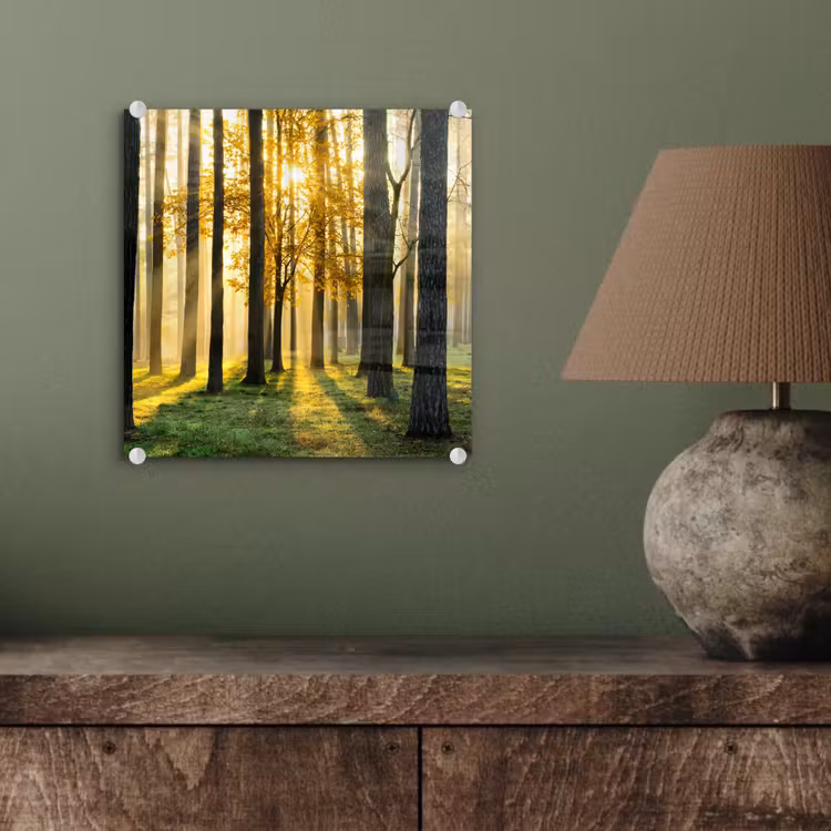 Bos - Zon - Bomen - Gras - Landschap - Natuur plexiglas 5mm klein -sfeer3