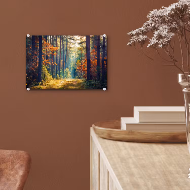 Bos - Zon - Natuur - Herfst plexiglas 5mm klein -sfeer5