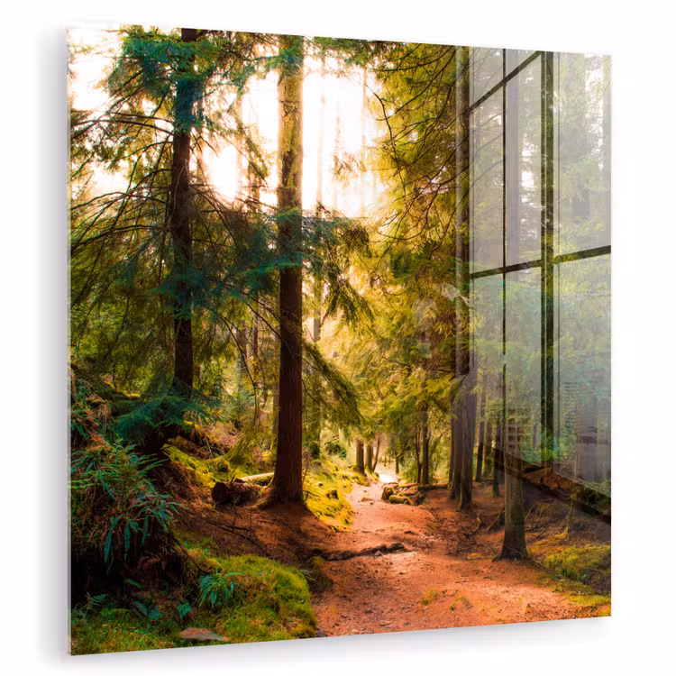 Bos - Pad - Bomen - Groen - Zon - Natuur plexiglas 5mm klein -zzzproduct_nieuw