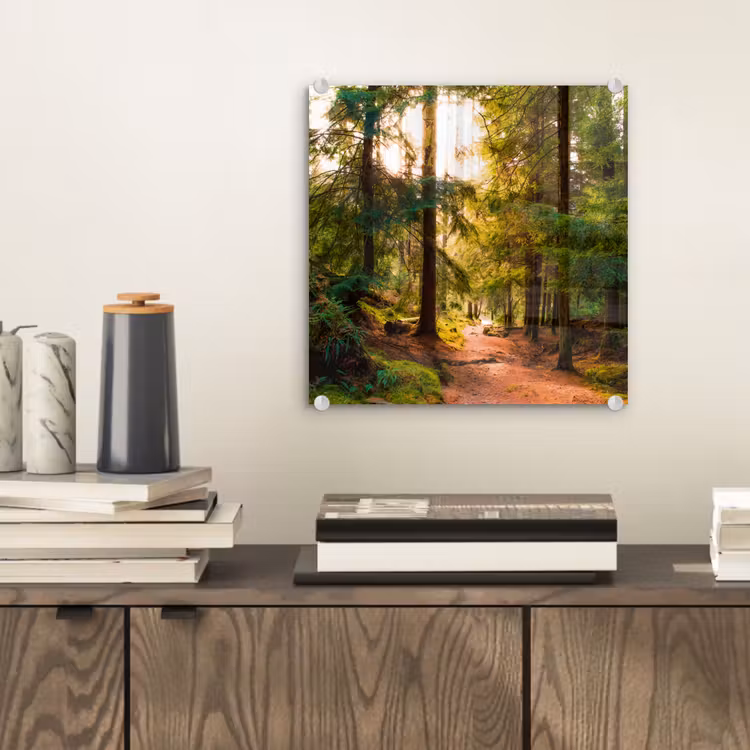 Bos - Pad - Bomen - Groen - Zon - Natuur plexiglas 5mm klein -sfeer1