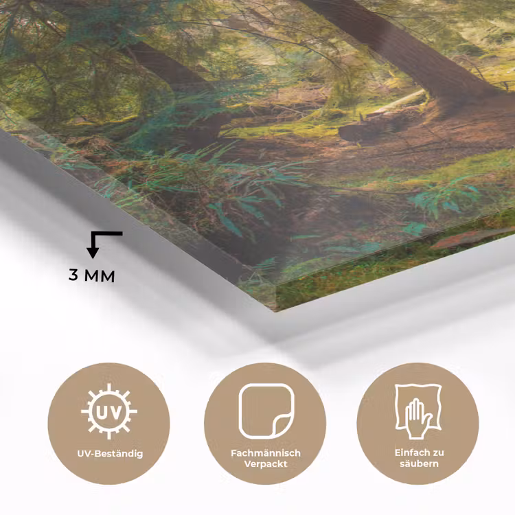 Bos - Pad - Bomen - Groen - Zon - Natuur plexiglas 5mm klein -wsfeer2_DE