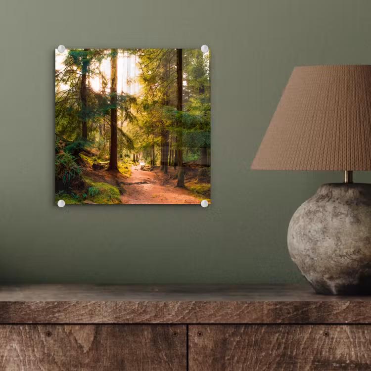 Bos - Pad - Bomen - Groen - Zon - Natuur plexiglas 5mm klein -sfeer3