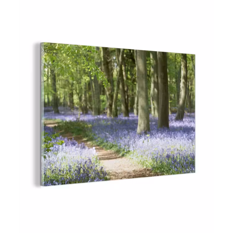 Bos - Pad - Bloemen - Paars - Groen - Natuur plexiglas 5mm klein -zzzproduct_nieuw