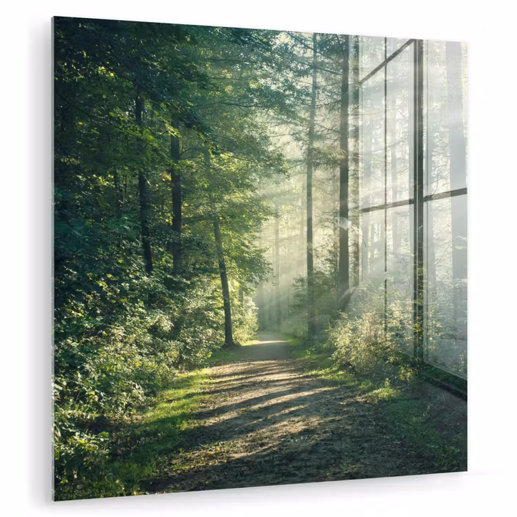 Bos - Pad - Zon - Bomen - Groen - Natuur plexiglas 5mm klein -zzzproduct_nieuw