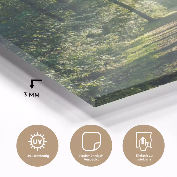 Bos - Pad - Zon - Bomen - Groen - Natuur plexiglas 5mm klein -wsfeer2_DE