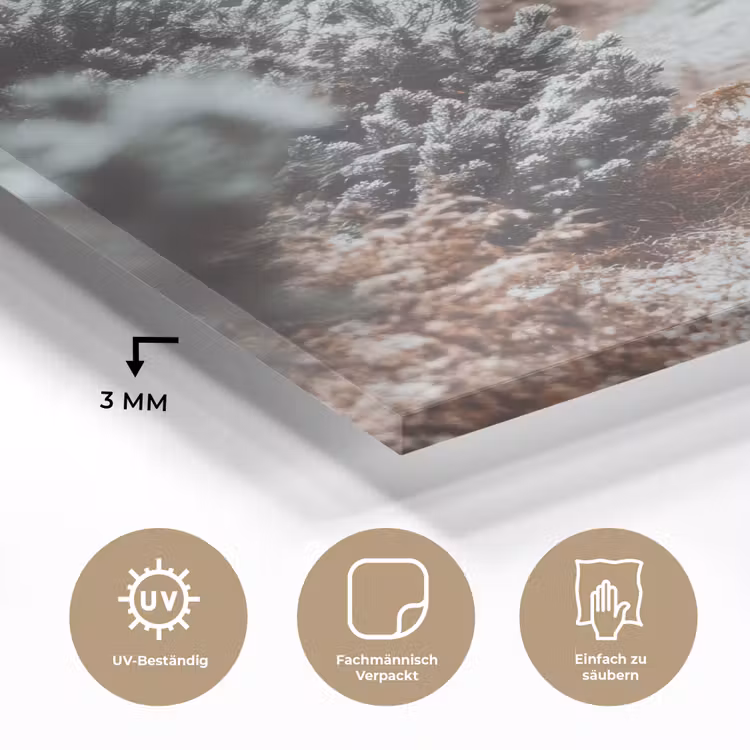 Bos - Winter - Bomen - Natuur - Pad - Sneeuw plexiglas 5mm klein -wsfeer2_DE