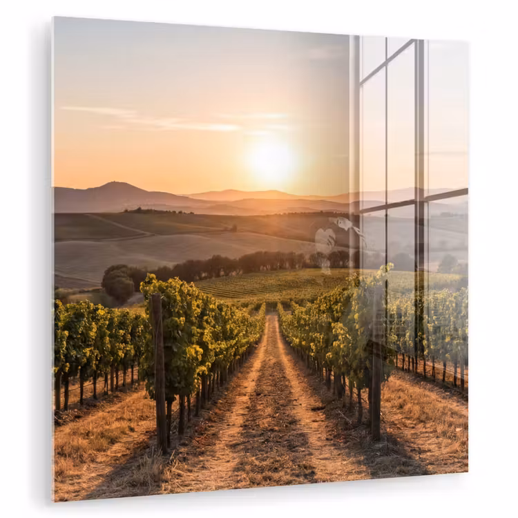 Wijngaard - Zonsondergang - Landschap plexiglas 5mm klein -zzzproduct_nieuw