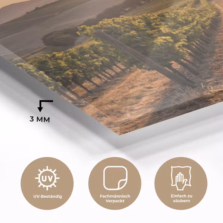 Wijngaard - Zonsondergang - Landschap plexiglas 5mm klein -wsfeer2_DE