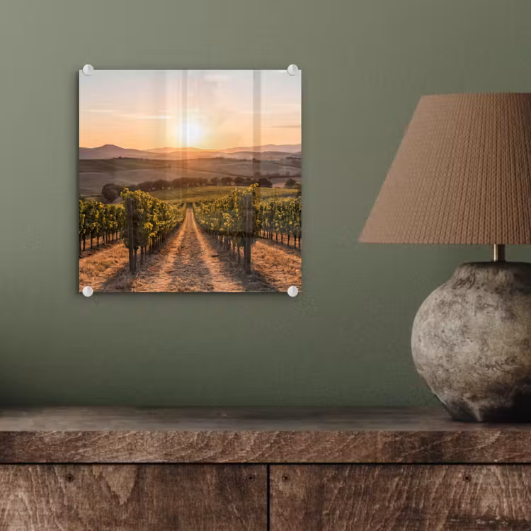 Wijngaard - Zonsondergang - Landschap plexiglas 5mm klein -sfeer3