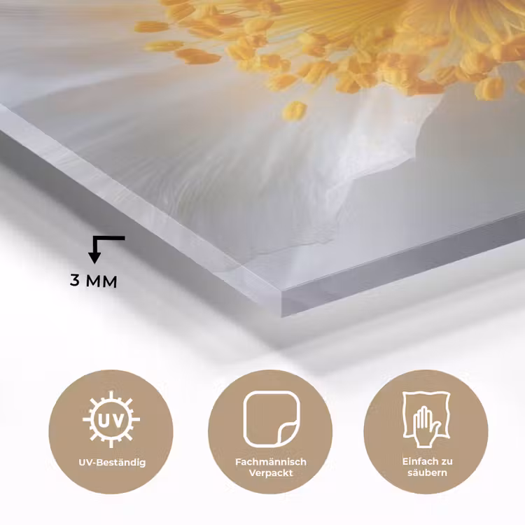 Wit - Bloem - Elegant plexiglas 5mm klein -wsfeer2_DE