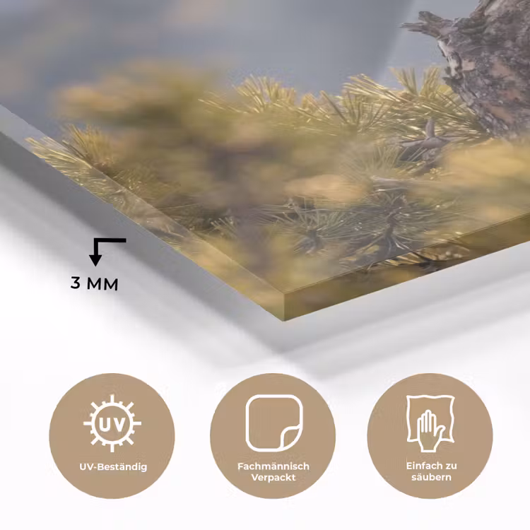 Zeearend - Boom - Bergen - Groen plexiglas 5mm klein -wsfeer2_DE