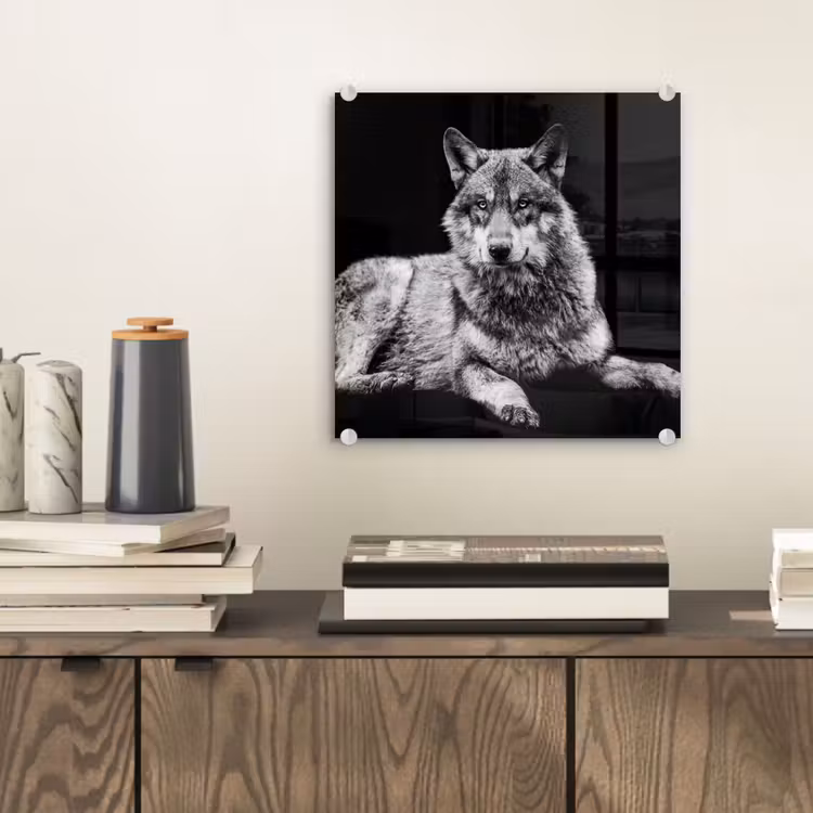 Wilde dieren - Wolf - Zwart - Wit plexiglas 5mm klein -sfeer1