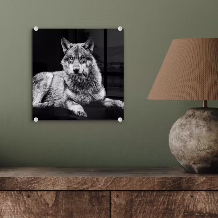 Wilde dieren - Wolf - Zwart - Wit plexiglas 5mm klein -sfeer3