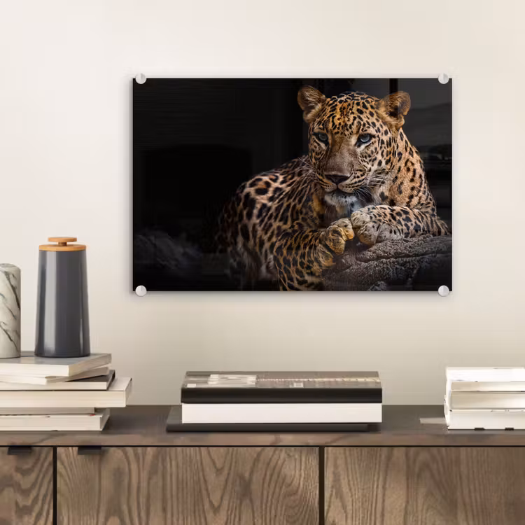 Wilde dieren - Panter - Portret - Zwart - Dieren plexiglas 5mm klein -sfeer1