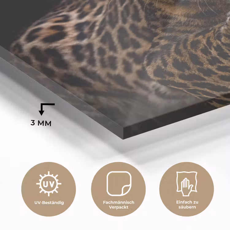 Wilde dieren - Panter - Portret - Zwart - Dieren plexiglas 5mm klein -wsfeer2_DE