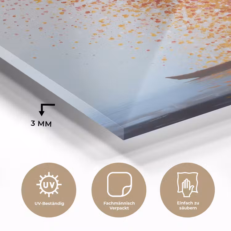 Wolk - Confetti - Boot - Wateroppervlakte plexiglas 5mm klein -wsfeer2_DE