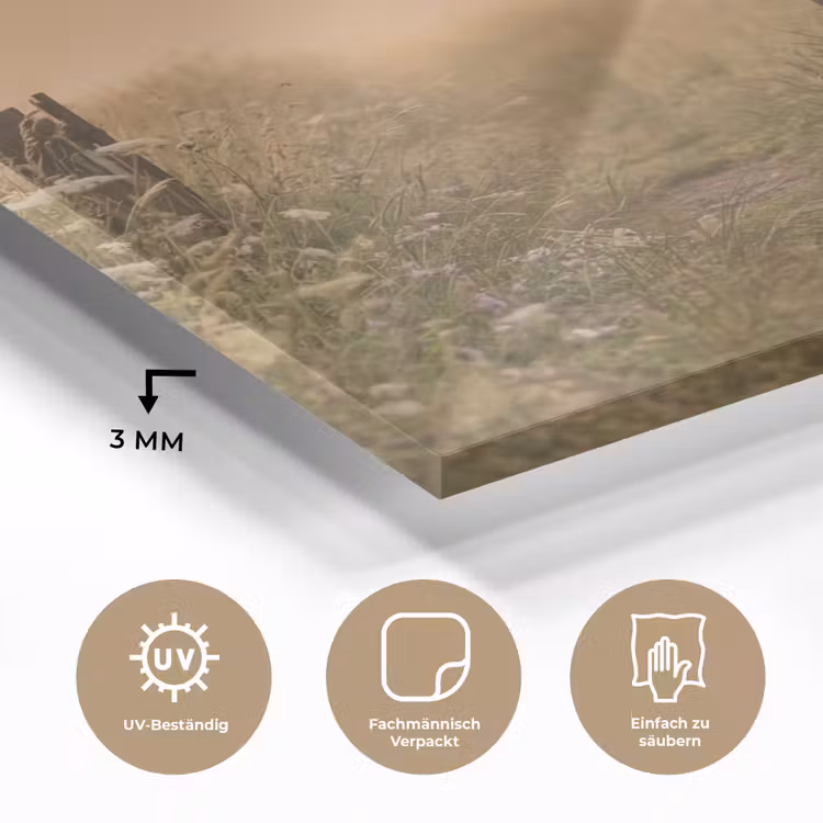 Hek - Natuur - Mist - Veld plexiglas 5mm klein -wsfeer2_DE