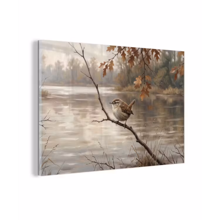 Winterkoninkje - Tak - Rivier - Natuur - Sfeervol plexiglas 5mm klein -zzzproduct_nieuw